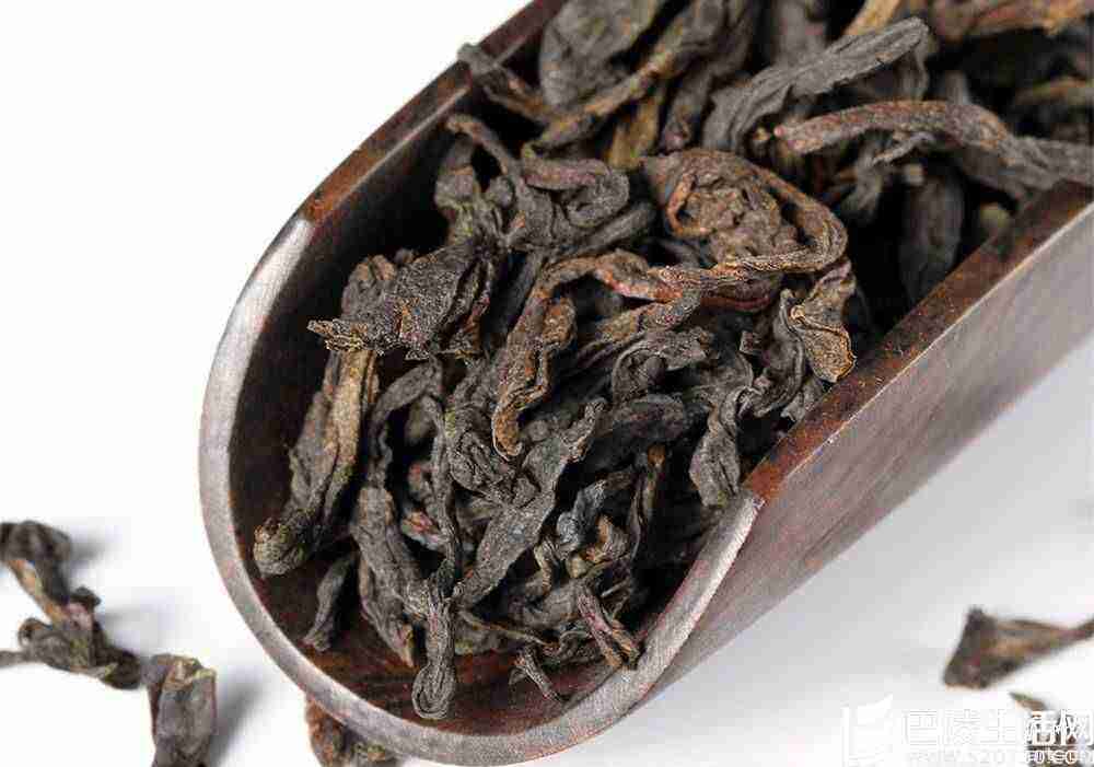 安化黑茶怎么泡? 湖南安化黑茶泡茶的技巧介绍