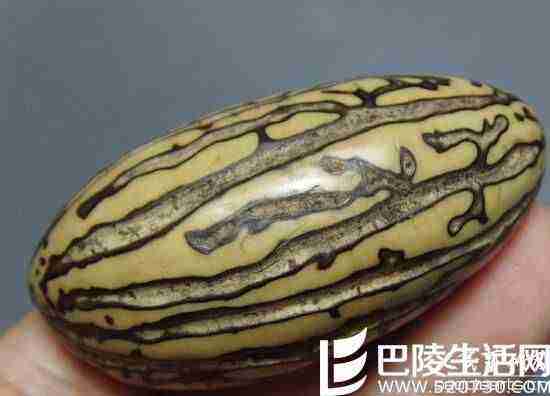 千眼菩提子打磨该怎样做?　如何购买千眼菩提原籽?