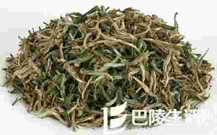 黄山毛峰是绿茶吗? 黄山毛峰多少钱一斤?