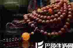 凤眼菩提图片 凤眼菩提怎么清理?