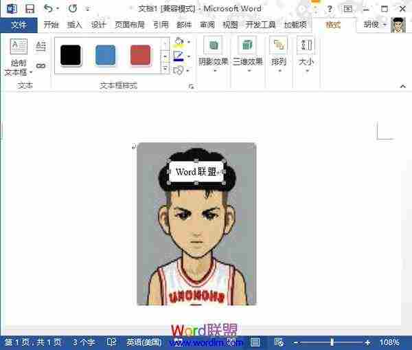 在文本框输入文字