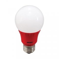 A19 LED Bulb 3 Watt (40W Equiv) by Energetic Lighting