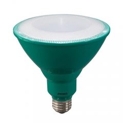 LED Par38 -  Bulb - 8 Watt - 60W Equiv - Energetic Lighting