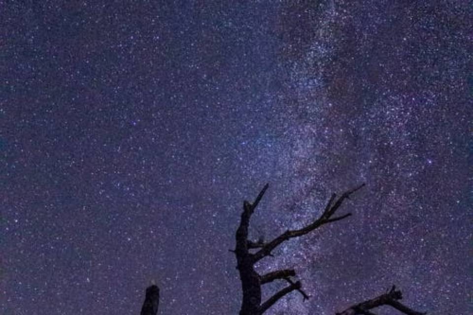 我喜欢黑夜，只有淡淡的月光和遥望夜空