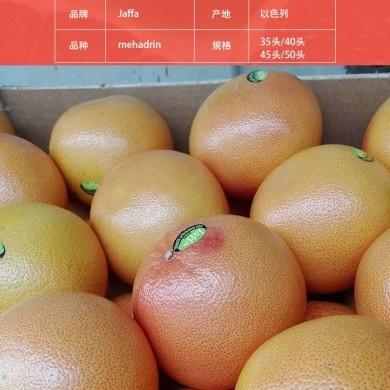 产品名称十三