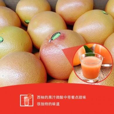 产品名称十三