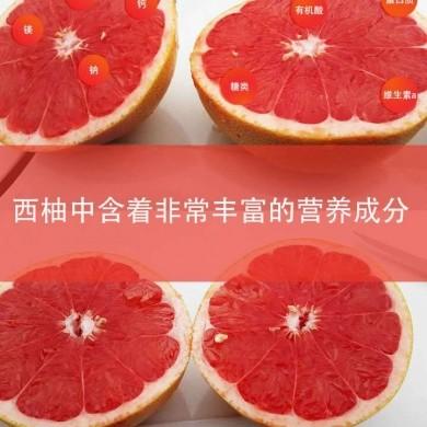 产品名称十三